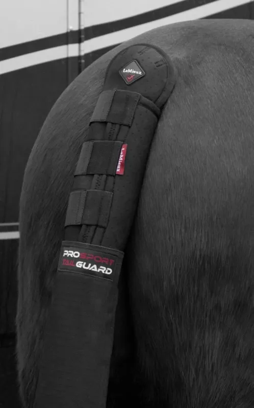 Meilleur Choix Protge-queue LeMieux ProSport Tail Guard avec sac - Noir
