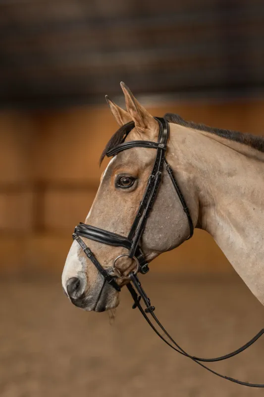 Vente Flash Bridon Pull-back Verona HFI Master Pro Line - Cob - Noir / argent