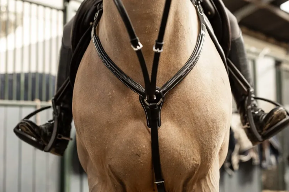 Must-Have Collier de chasse Arezzo HFI Master Pro Line - Cob - Noir / argent