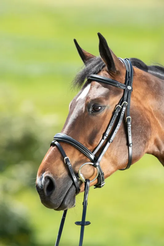 Promotion Saisonnire Bridon Technical HFI - Poney - Noir