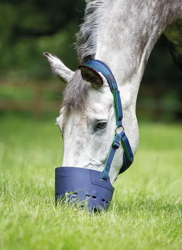 Muselire Flexi Shires – Cob – Bleu marine Prix Rduit