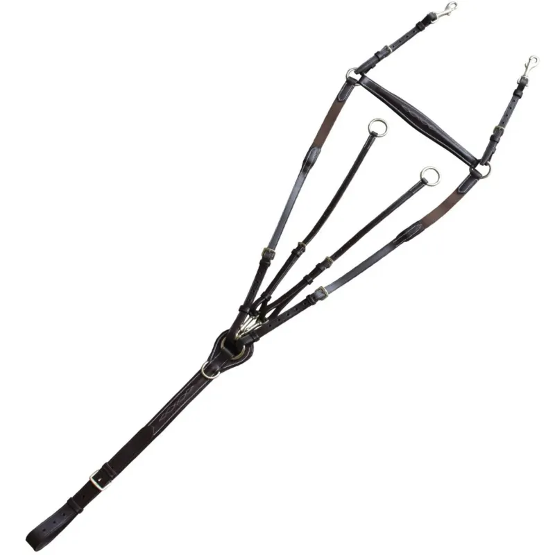 Quantit Limite Collier de chasse surpiqu Chetak - Cheval - Marron
