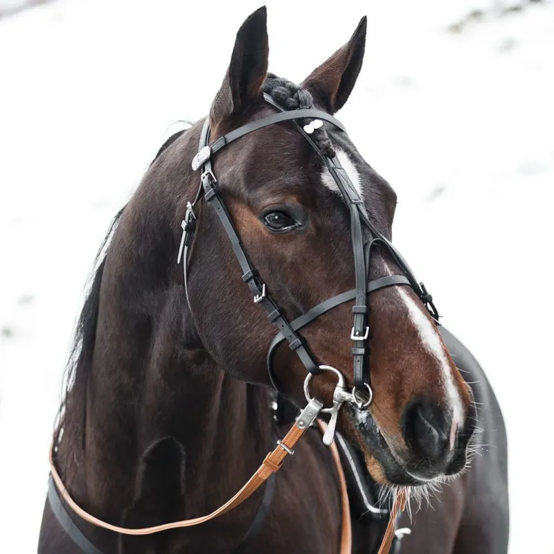 BRIDE PRO EN BETA - Cheval - Noir Nouveaut