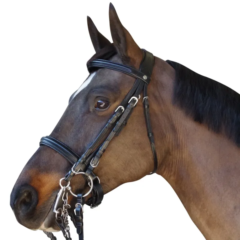 Bride Pull Back Euro Canter - Cob - Marron Achetez Aujourdhui