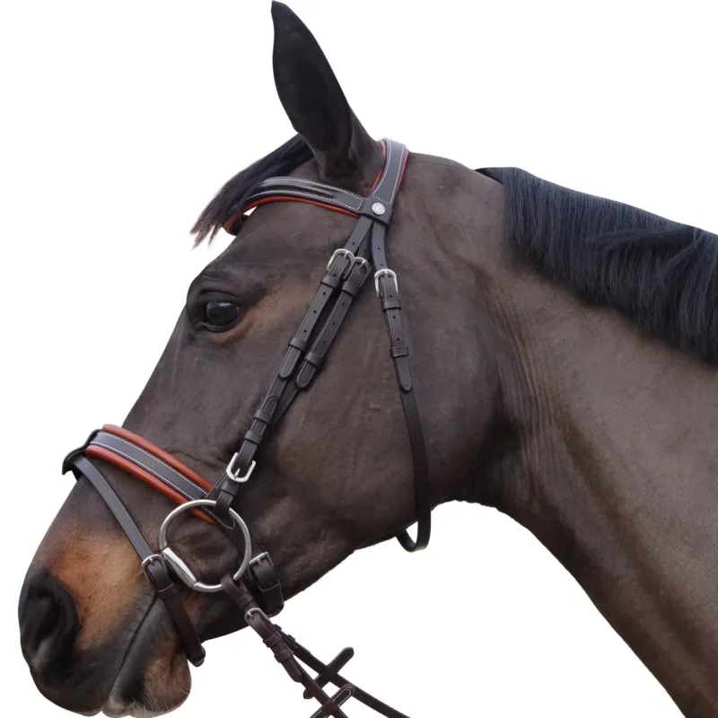 Bridon Canter Alme - Poney - Noir Acheter En Ligne