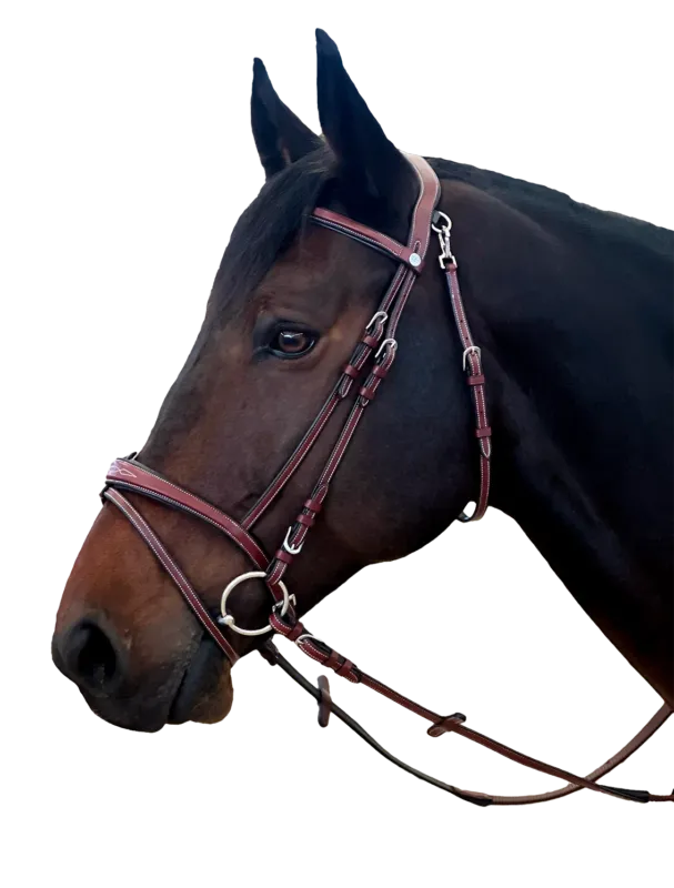 Bridon Flags & Cup New York - Cob - Marron Prix Bas