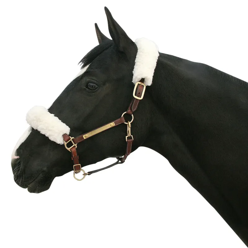 Offre Du Jour Fourreau de licol Back on Track