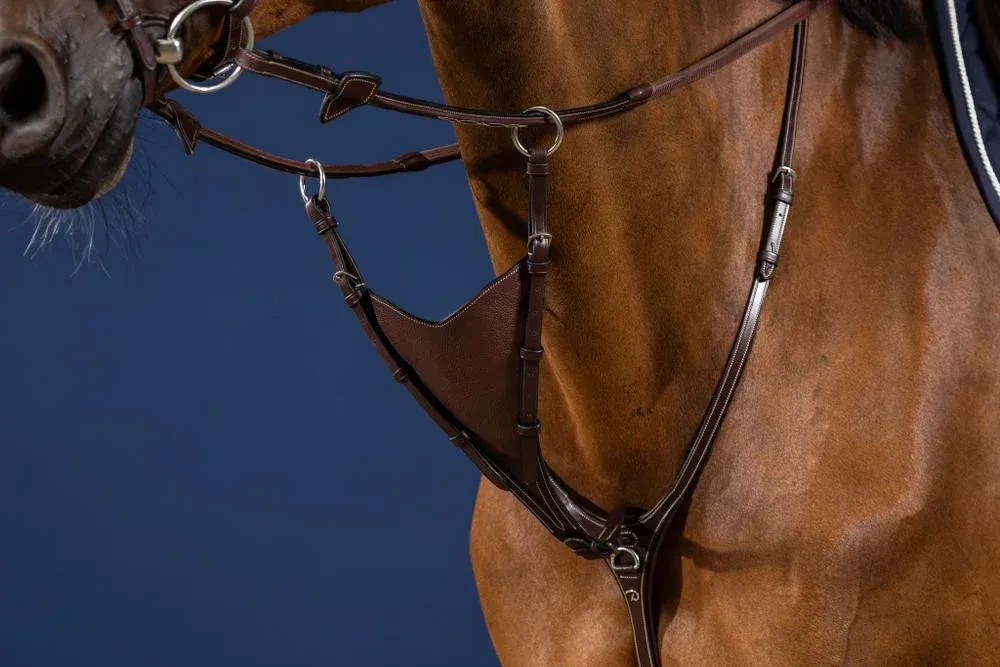 Meilleur Choix Fourchette De Martingale Pleine Souple Dy'on US Jumping - Cheval - Marron
