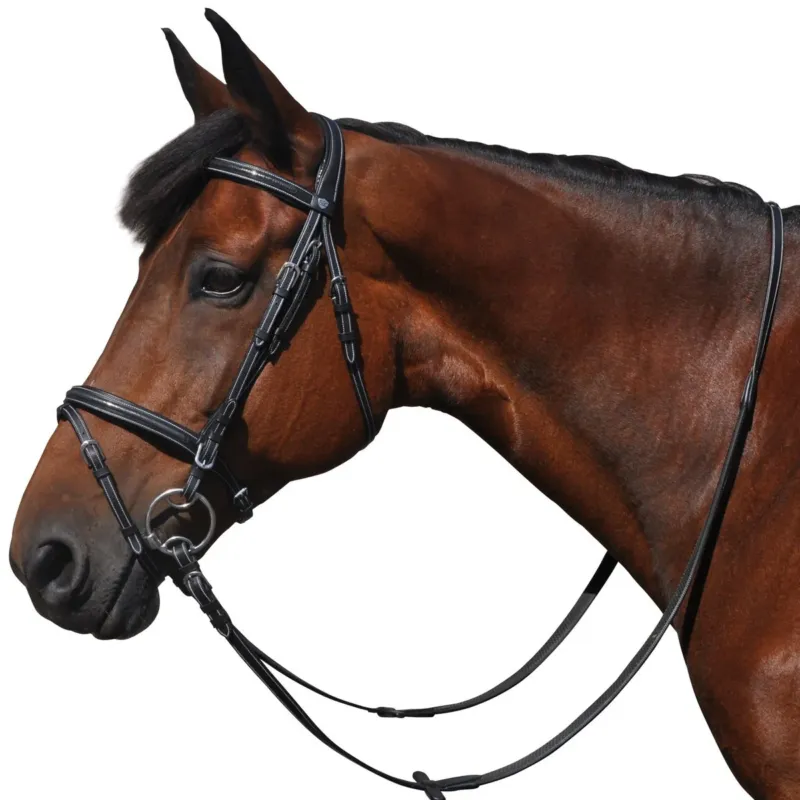 Bridon Flags & Cup Helsinki - Poney - Noir Quantit Limite