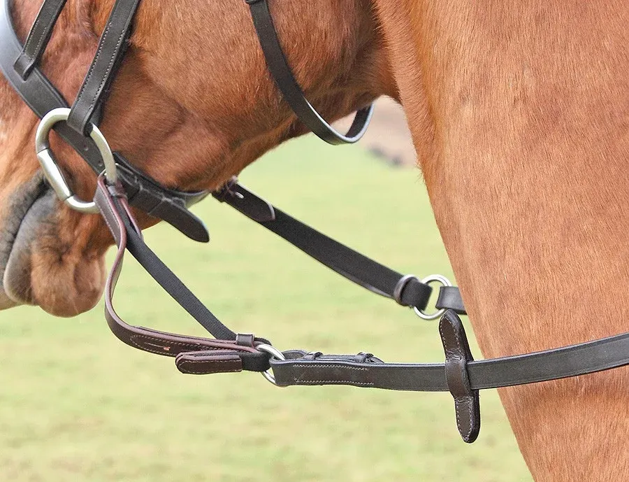 Flexi Rein Shires - Cob / cheval - Havane Meilleur Choix