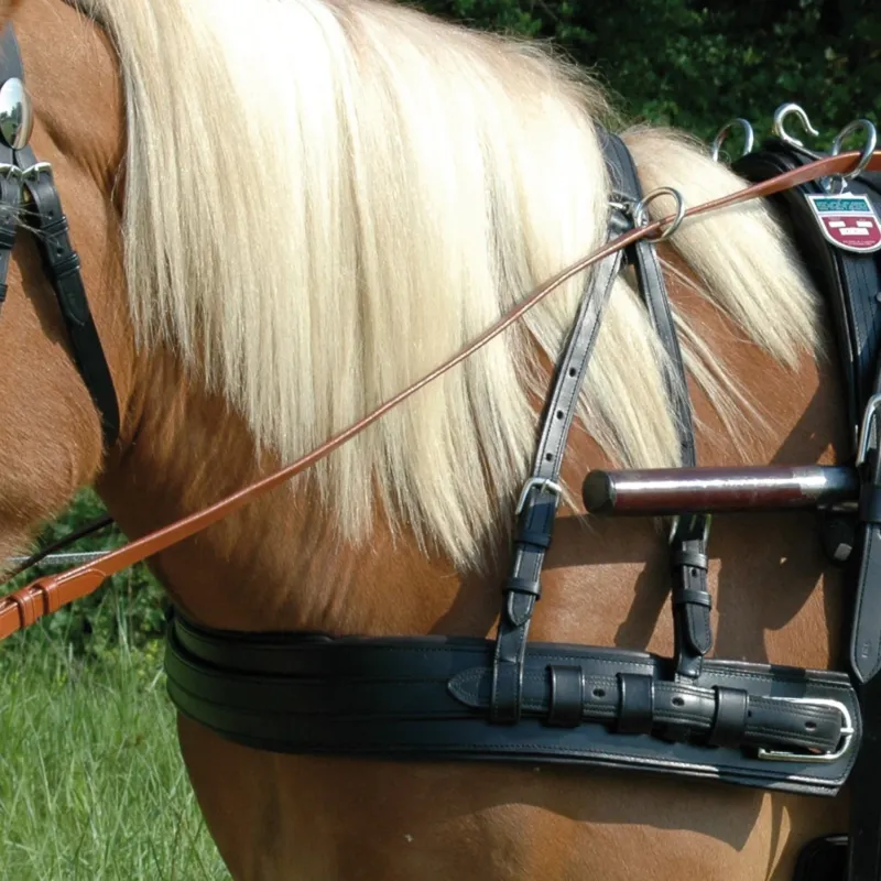 Super Prix Bricole Euro avec surcou Canter - Cheval - Marron