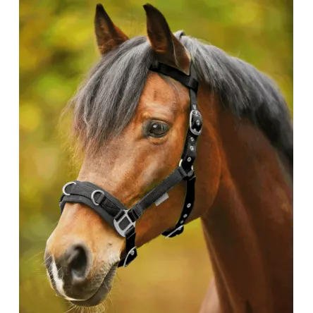 Caveon Economique Waldhausen - JAUNE - PONEY Promotion Saisonnire