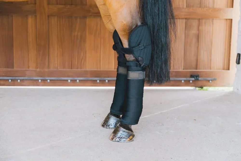 Promotion Saisonnire Sous Bandage d'Ecurie et de Transport avec Protection de Jarret Kentucky - Cheval - Noir