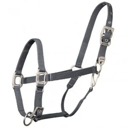 Licol Premium Waldhausen - BLEU NUIT - COB/PUR-SANG Top Vente