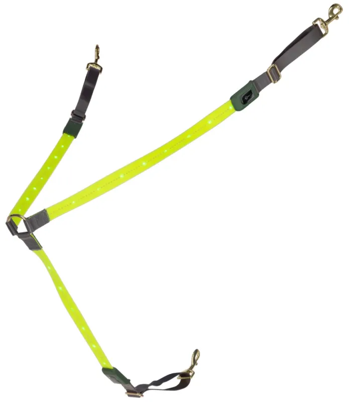 Populaire Collier de chasse LED Covalliero - Jaune