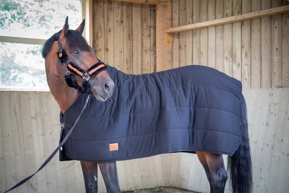 Sous-couverture Paddock Sports Underblancket - 125 cm - Noir Soldes