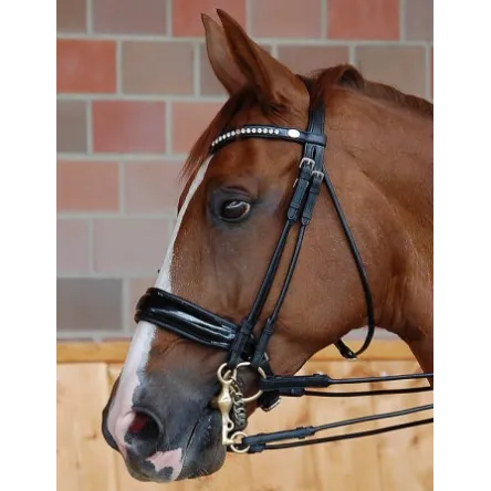 Bride de Dressage Muserolle Combine Large Vernis Dyon - CHEVAL/FULL - NOIR Prix Promo