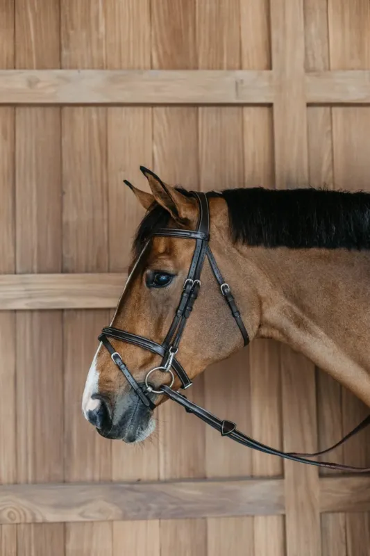 Bridon Working by Dy'on muserolle combine avec mousquetons - Grand cheval - Marron Nouvel Arrivage