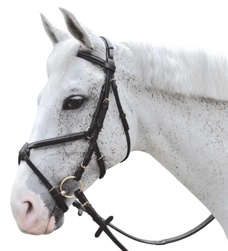 Bridon surpiqu crois Canter - Poney - Noir ancien modle Jusqu puisement Des Stocks