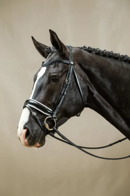 Bridon Working by Dy'on Muserolle Combine Large Vernie Doublure Blanche - Cheval - Noir Meilleur Choix
