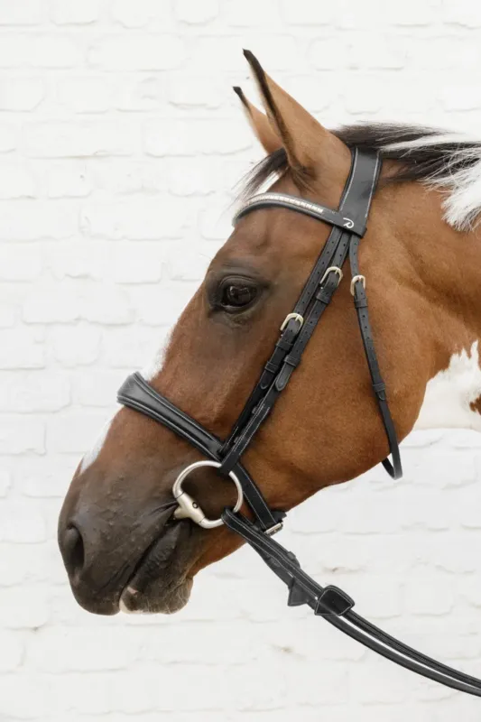 Muserolle Anatomique sans Sous Barbe D Collection Dy'on - Grand cheval - Noir Prix Cass