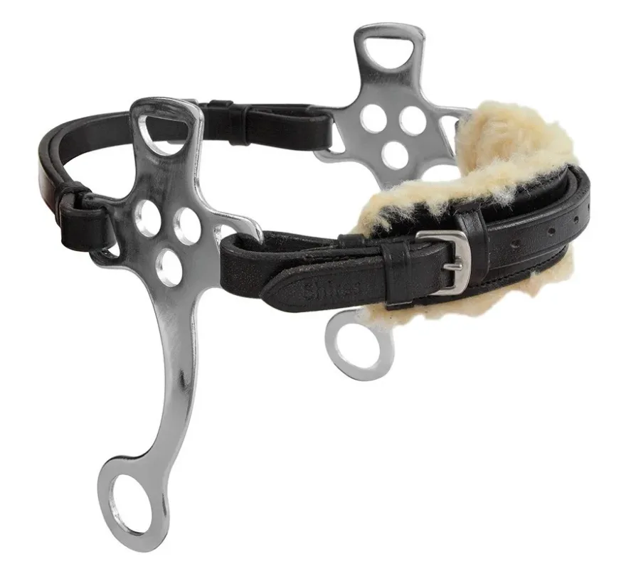 Commander Vite Hackamore Blenheim Shires - Noir