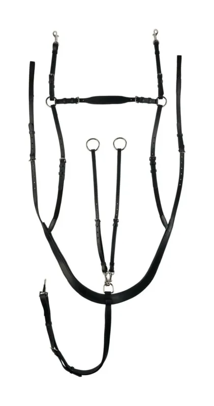 Meilleur Prix Collier de chasse Belgravia combine avec martingale Horze - Cheval - Noir