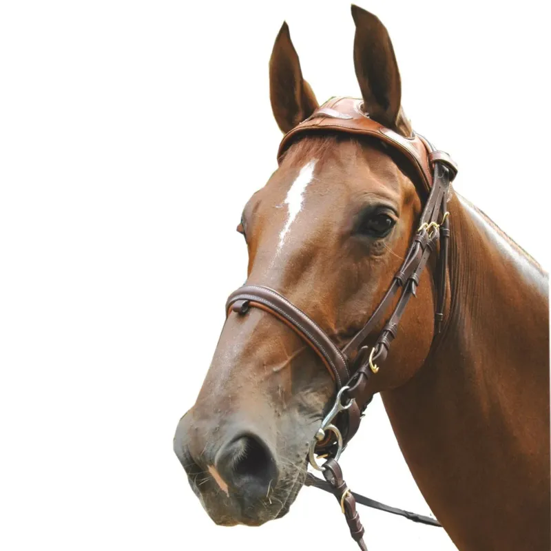 Quantit Limite Headset Eric Le Tixerant - Cheval - Noir