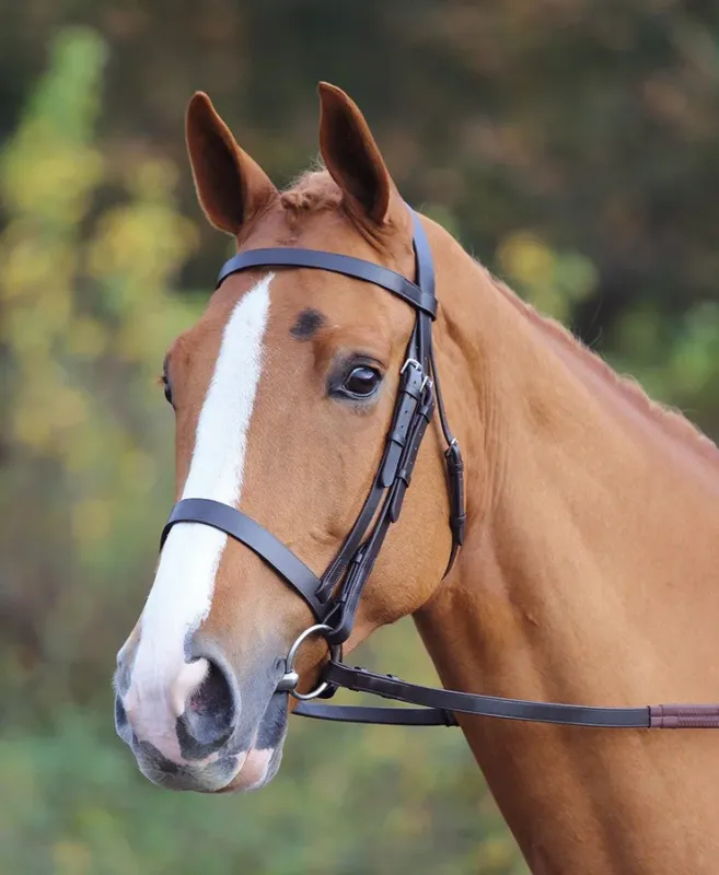 Bridon Aviemore Shires - Cob - Noir Prix Rduit