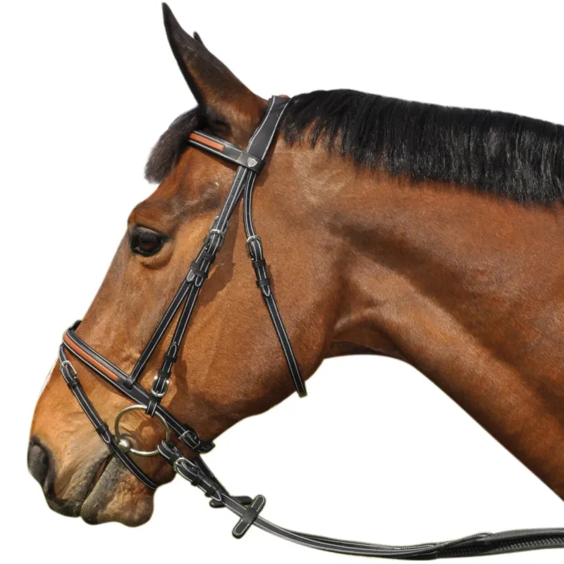 Bridon Flags & Cup Oslo - Poney - Noir / camel Livraison Express