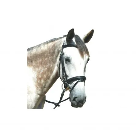 Vente Directe Bridon Pull Back Le Touquet Privilge equitation - CHEVAL/FULL - NOIR