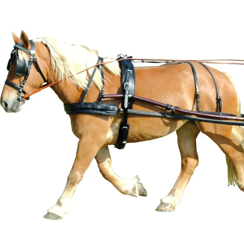 Produit De Marque Harnais EURO synthtique Chetak - Cheval - Noir