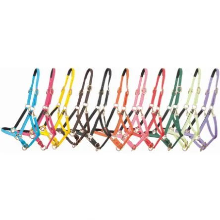Licol Biotack T de T - NOIR - COB/PUR-SANG Jusqu puisement Des Stocks