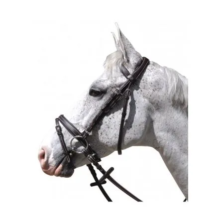 Usine Directe Bridon Goteborg muserolle combine Flags And Cup - PONEY - BRUN