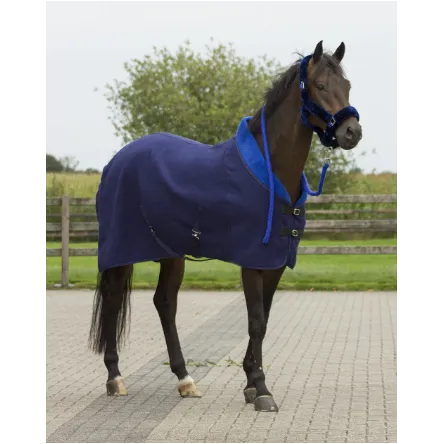 Bon Plan Licol Mouton Alaska QHP - MENTHE/VERT - PONEY