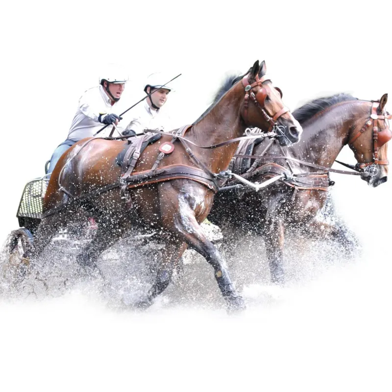 Harnais MARATHON anatomique double Eric Le Tixerant - Cob - Noir / noir Offre Du Jour