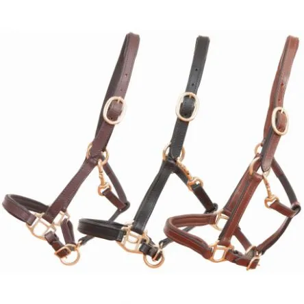 Licol Cuir Foal Ou Mini T de T - MINI SHETLAND - BRUN Marque