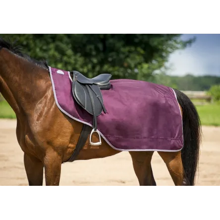 Offre Du Jour Couvre-reins EQUI-THME TYREX 1680 D - PRUNE - 125CM