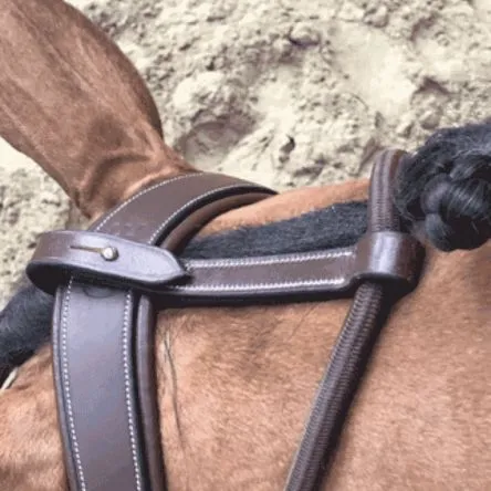 Enrnement Patrick Jump In - NOIR - CHEVAL/FULL Nouvel Arrivage