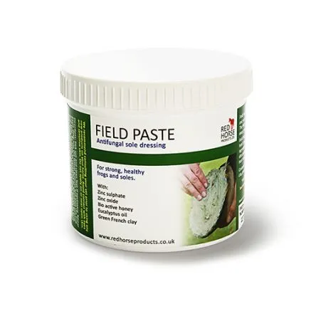 Remise Field Paste 500ml#