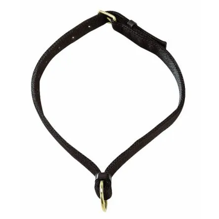 Collier pour chevaux# Achetez Aujourdhui