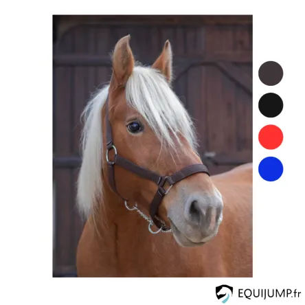 Licol NORTON PRO pour cheval de trait - ROUGE - XFULL/TRAIT Nouvelle Collection