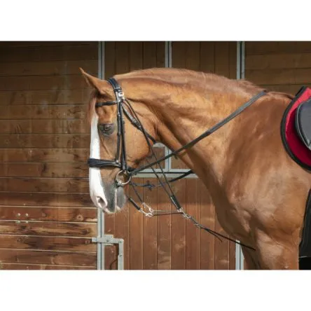 Gogue Norton Pro poulies - CHEVAL/FULL - NOIR Usine Directe