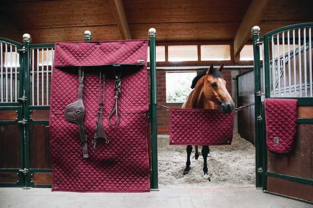 Tenture de Box Kentucky - Bordeaux Acheter Direct