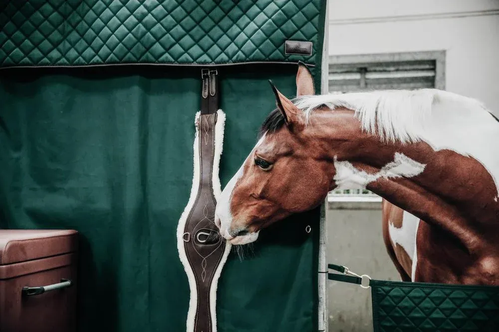 Tenture de Box impermable Kentucky - Vert fonc Dernier Modle