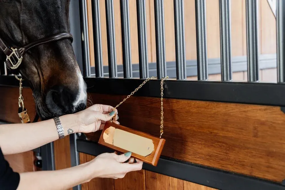 Plaque de Box Grooming Deluxe by Kentucky - Brun Offre Limite