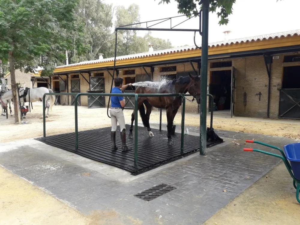 Sol de douche Magellan Livraison Express