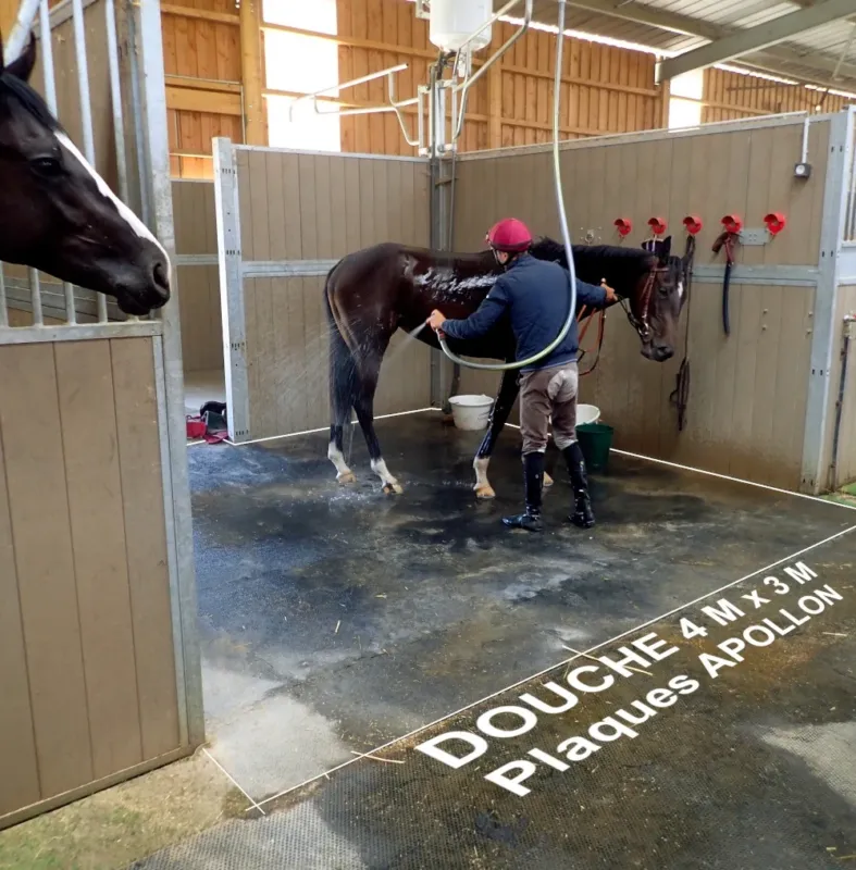 Prix Cass Dalle de box Apollon