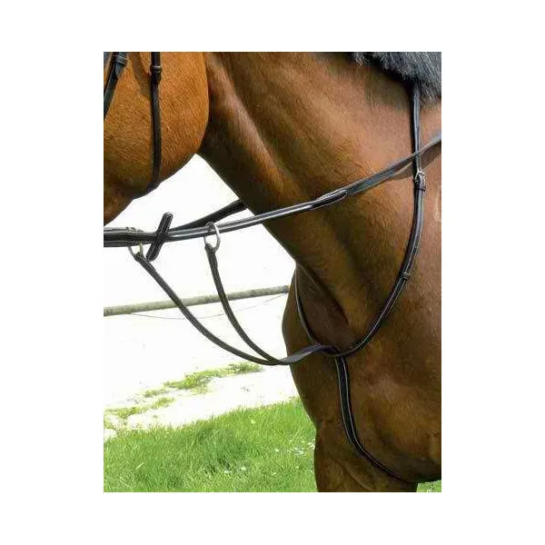 Meilleur Prix Martingale anneaux - COB (pur sang )