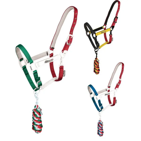 Licol Equestro Flaggy - Cheval Promotion